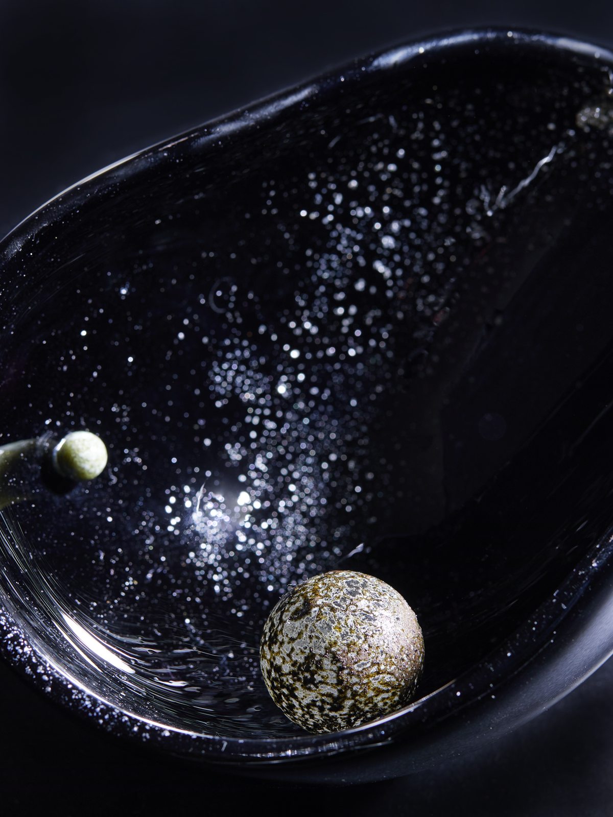 4.5 billion years' accompaniment