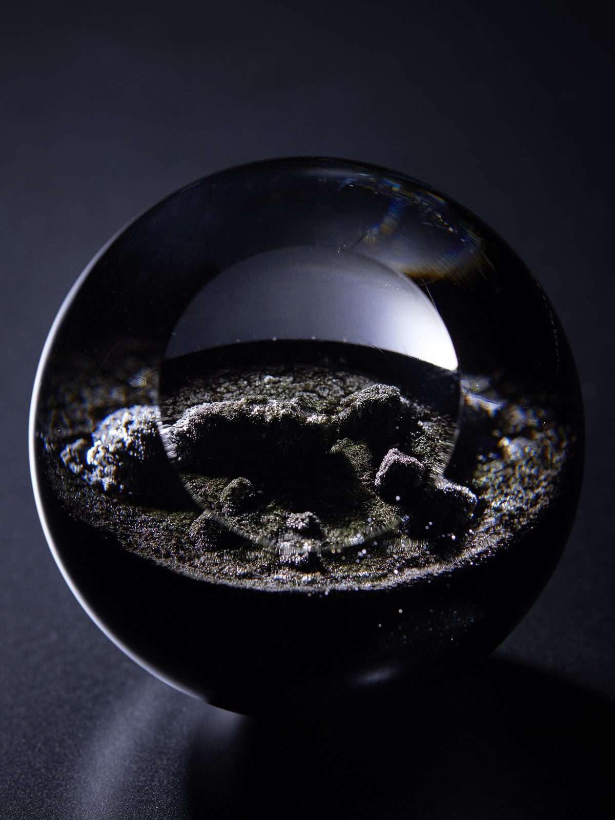 Moon Garden